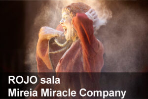 rojo_sala_mireia miracle company
